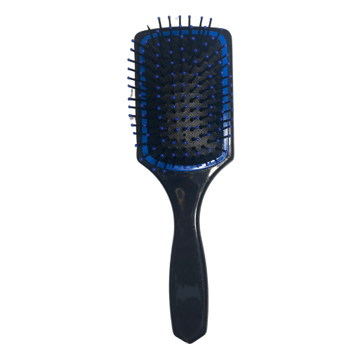 CEPILLO PLATEADO4