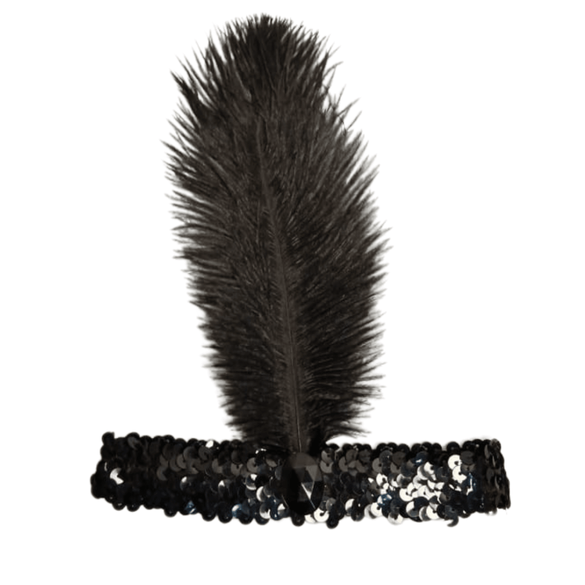 CINTILLO CHARLESTON1