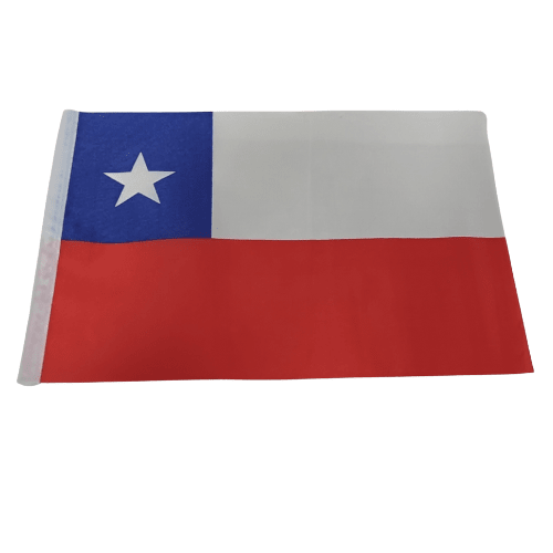 BANDERA EXTRANJERA 5