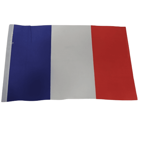 BANDERA EXTRANJERA 7
