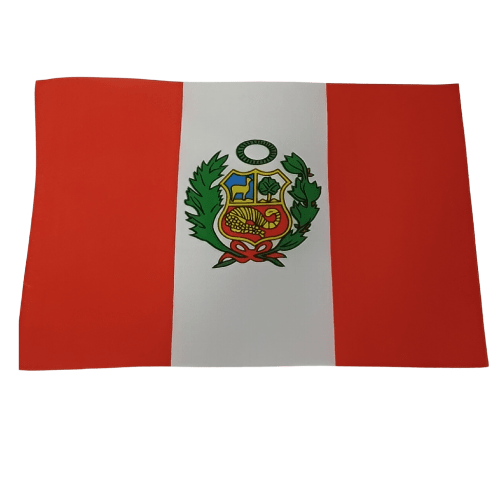 BANDERA EXTRANJERA 8