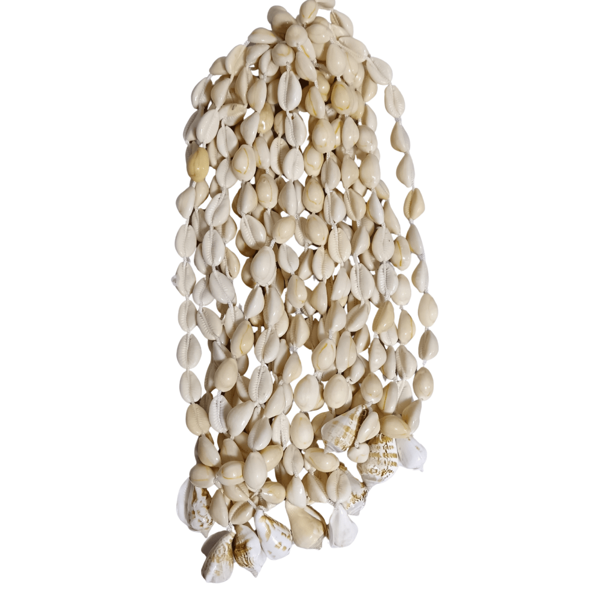 COLLAR CONCHA4