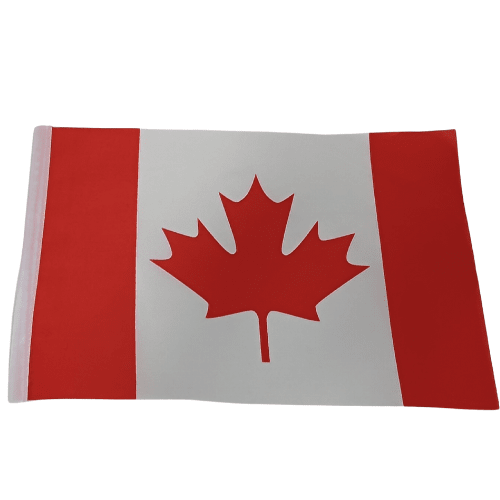BANDERA EXTRANJERA 10