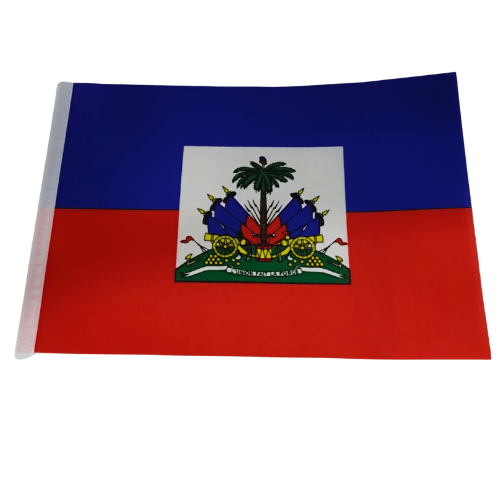 BANDERA EXTRANJERA 14
