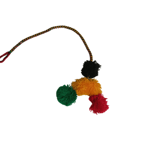 POMPOM NORTINO1