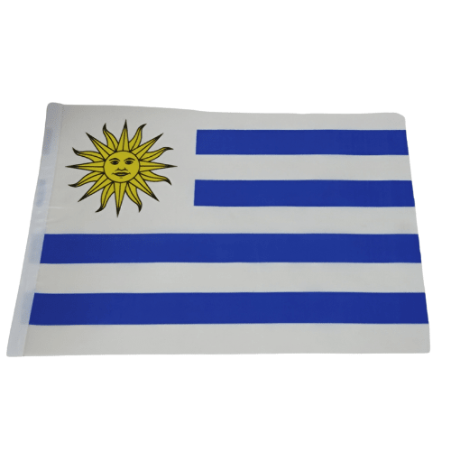 BANDERA EXTRANJERA 17
