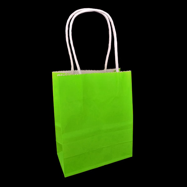 BOLSA LISA MEDIANA6