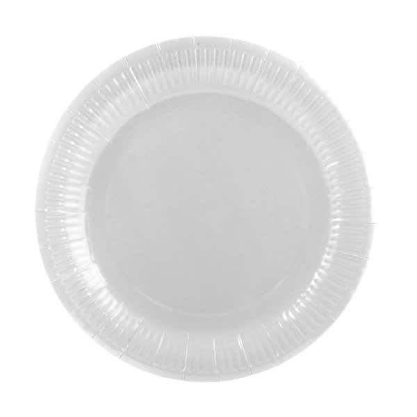 PLATO DE CARTON4