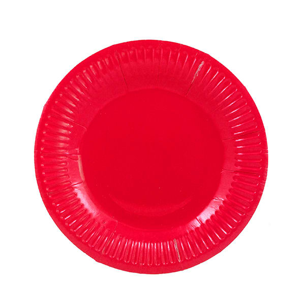 PLATO DE CARTON8