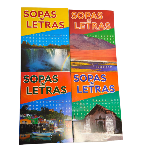 SOPA CHICA1