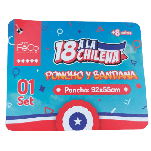 SET PONCHO MAPUCHE2