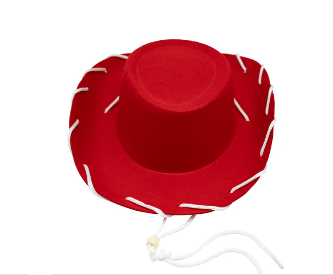 GORRO VAQUERA JESSIE1