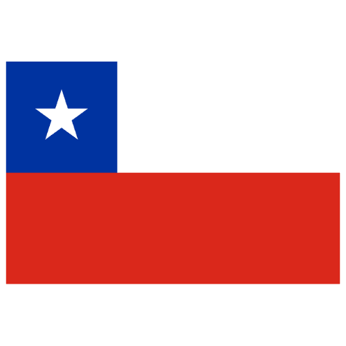 BANDERA PAISES11