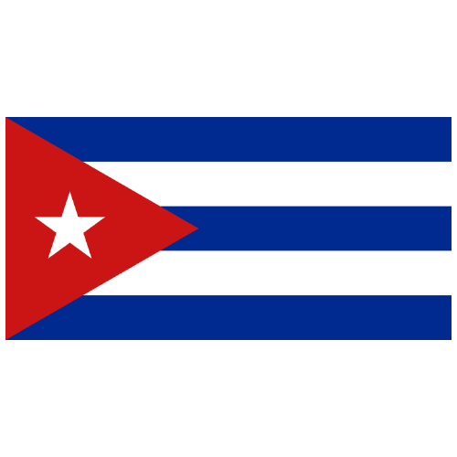 BANDERA PAISES10