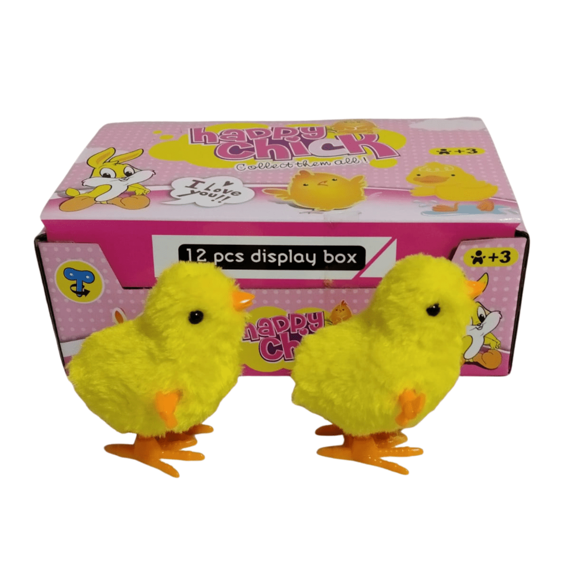 POLLO A CUERDA1