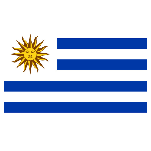 BANDERA PAISES2