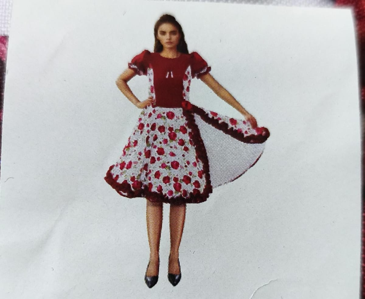 VESTIDO L FLO BORDADO4