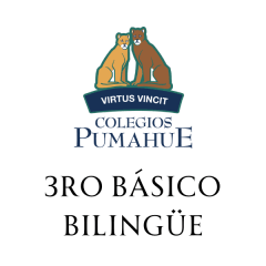 PUMAHUE 3RO BASICO BILINGUE HUECHURABA