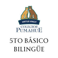 PUMAHUE 5TO BASICO BILINGUE HUECHURABA