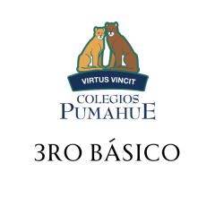 PUMAHUE 3RO BÁSICO TRADICIONAL