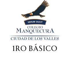 1RO BASICO MANQUECURA CIUDAD DE LOS VALLES
