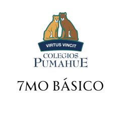 PUMAHUE 7MO BASICO TRADICIONAL HUECHURABA