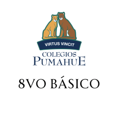 PUMAHUE 8VO BASICO TRADICIONAL HUECHURABA