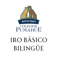 PUMAHUE 1RO BASICO BILINGUE HUECHURABA