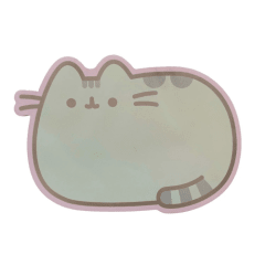 NOTEPAD CON IMAN PUSHEEN