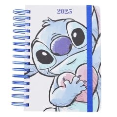 AGENDA 14x20 STITCH