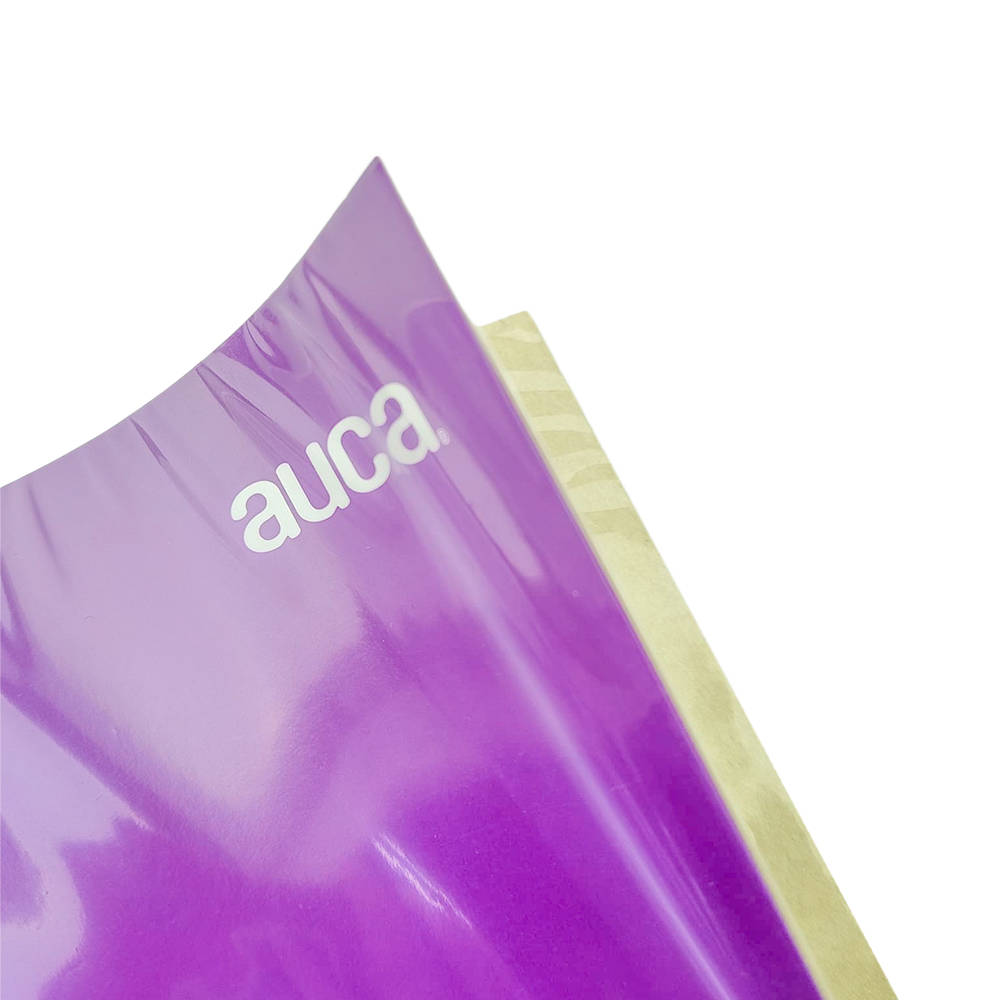 CARPETA PLASTIFICADA MORADA CON GUSANO AUCA1