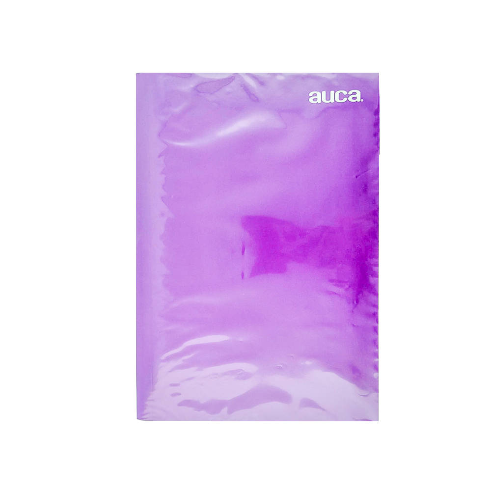 CARPETA PLASTIFICADA MORADA CON GUSANO AUCA2