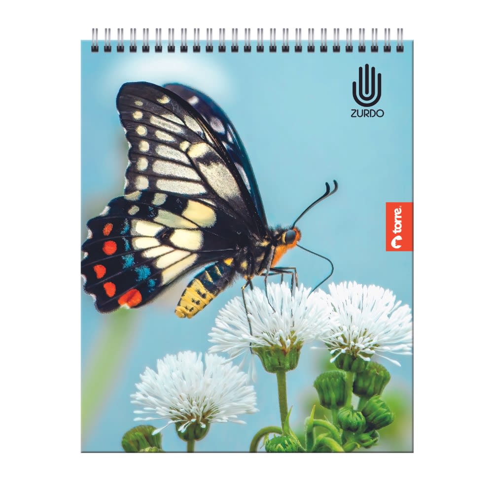 CUADERNO CLASICO PARA ZURDOS3