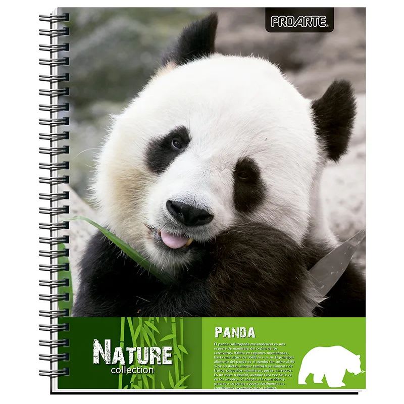 CUADERNO UNIVERSITARIO NATURE 7MM 100 HOJAS2