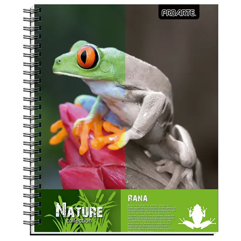 CUADERNO UNIVERSITARIO NATURE 7MM 100 HOJAS4
