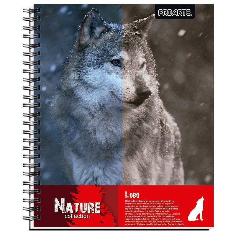 CUADERNO UNIVERSITARIO NATURE 7MM 100 HOJAS7