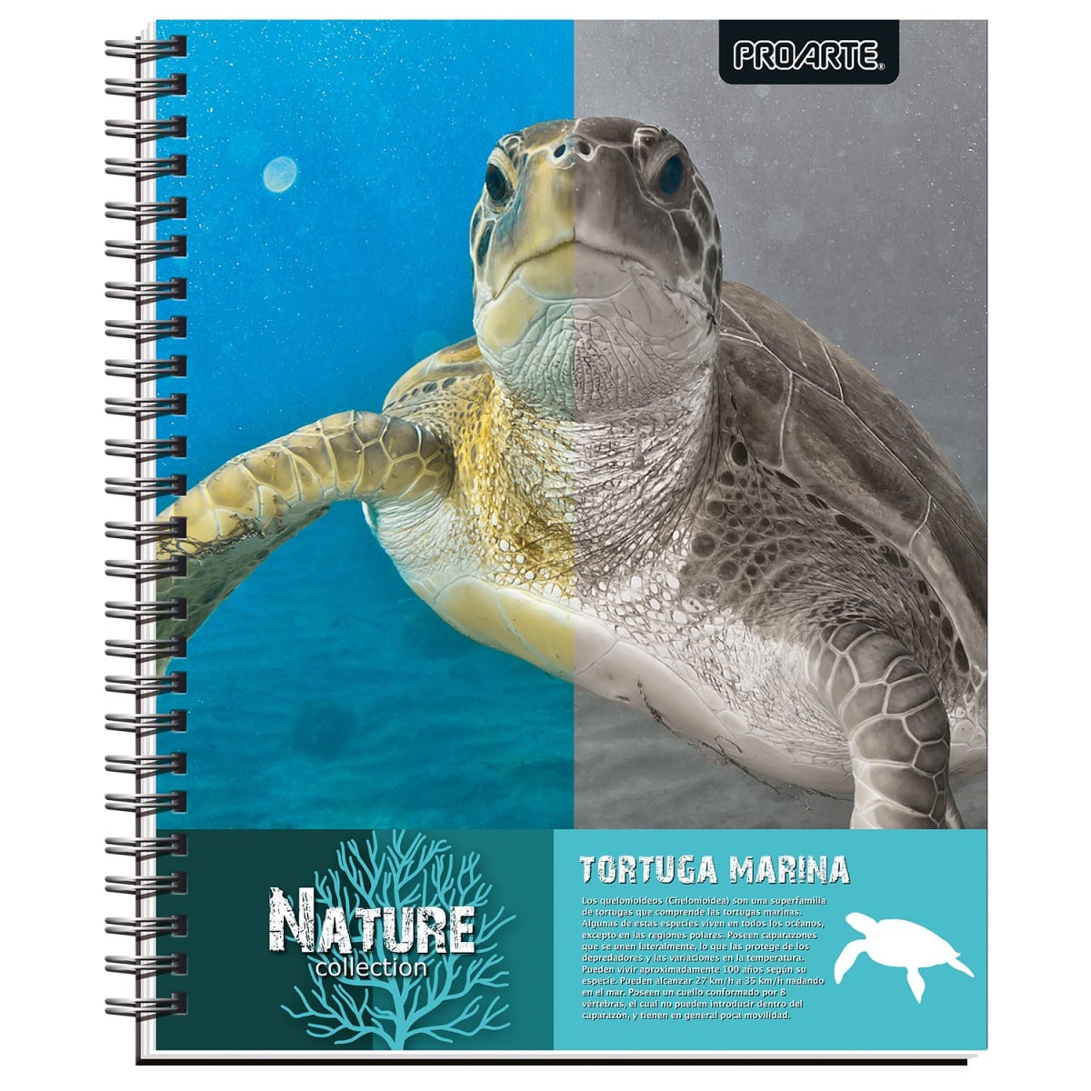 CUADERNO UNIVERSITARIO NATURE 7MM 100 HOJAS9
