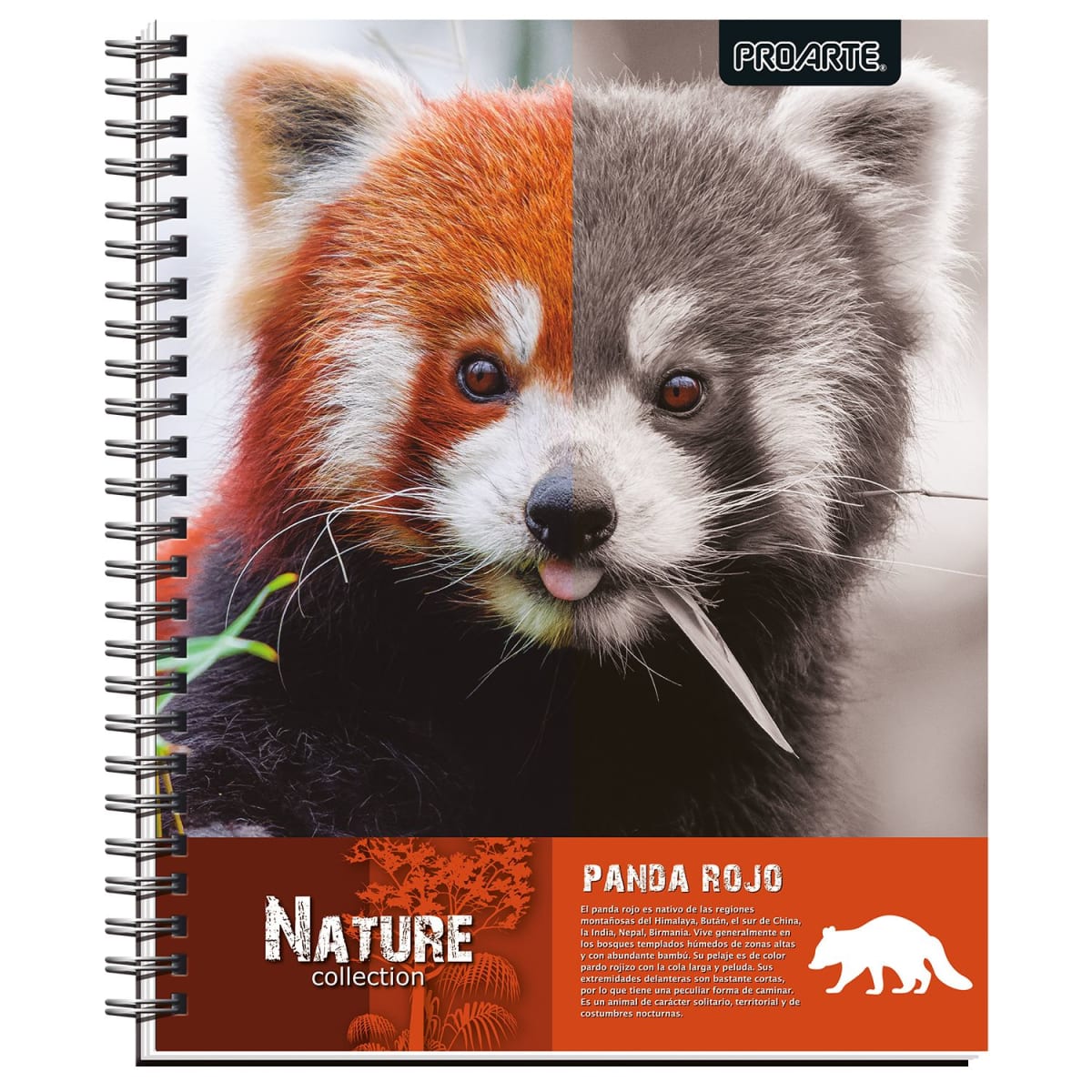 CUADERNO UNIVERSITARIO NATURE 7MM 100 HOJAS10