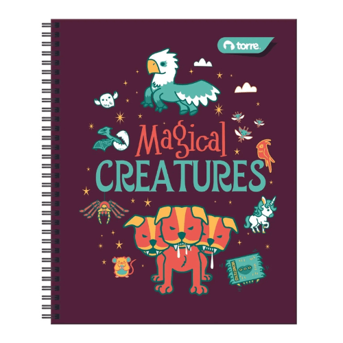 CUADERNO UNIVERSITARIO HARRY POTTER 7MM 100 HJS.4