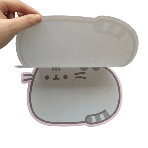 NOTEPAD CON IMAN PUSHEEN2