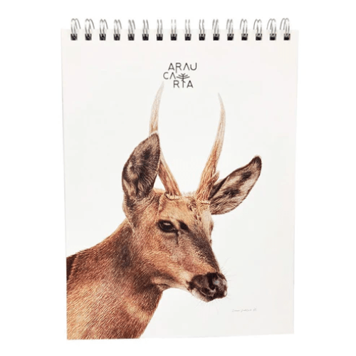 CROQUERA CAR.21X28CM HUELMU ARAUCANIA1