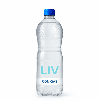 Agua Mineral Con Gas LIV 500ml1
