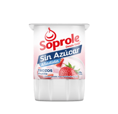 Yoghurt Sin Azucar Trozo Frutilla 155gr.