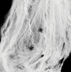 TELARAÑA BLANCA