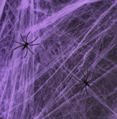 TELARAÑA MORADA
