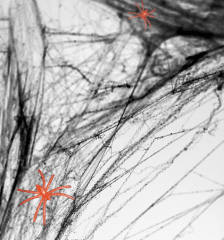 TELARAÑA NEGRA