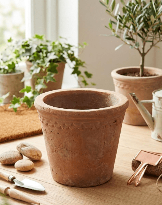 MACETA TERRACOTA S1