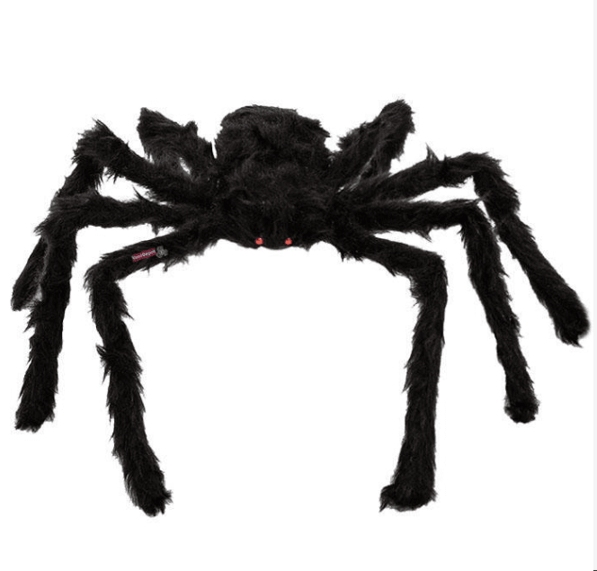 ARAÑA PELUDA1