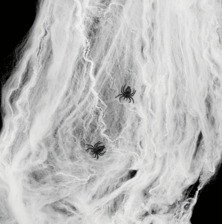 TELARAÑA BLANCA1