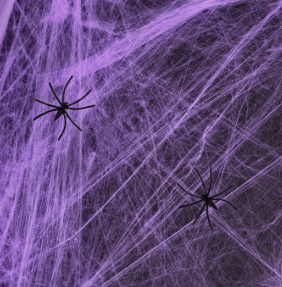 TELARAÑA MORADA1